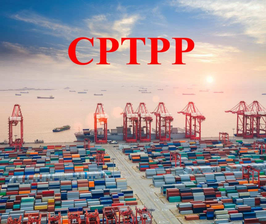 Quy định lập hồ sơ mời thầu dịch vụ tư vấn gói thầu thuộc Hiệp định CPTPP - Ảnh 1.