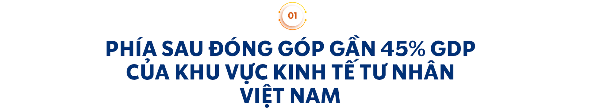 PGS.TS Trần Đình Thiên phân tích lý do nhiều ngân hàng, công ty bất động sản đóng góp ngân sách lớn và điều đáng lo của khu vực tư nhân hiện nay- Ảnh 1.