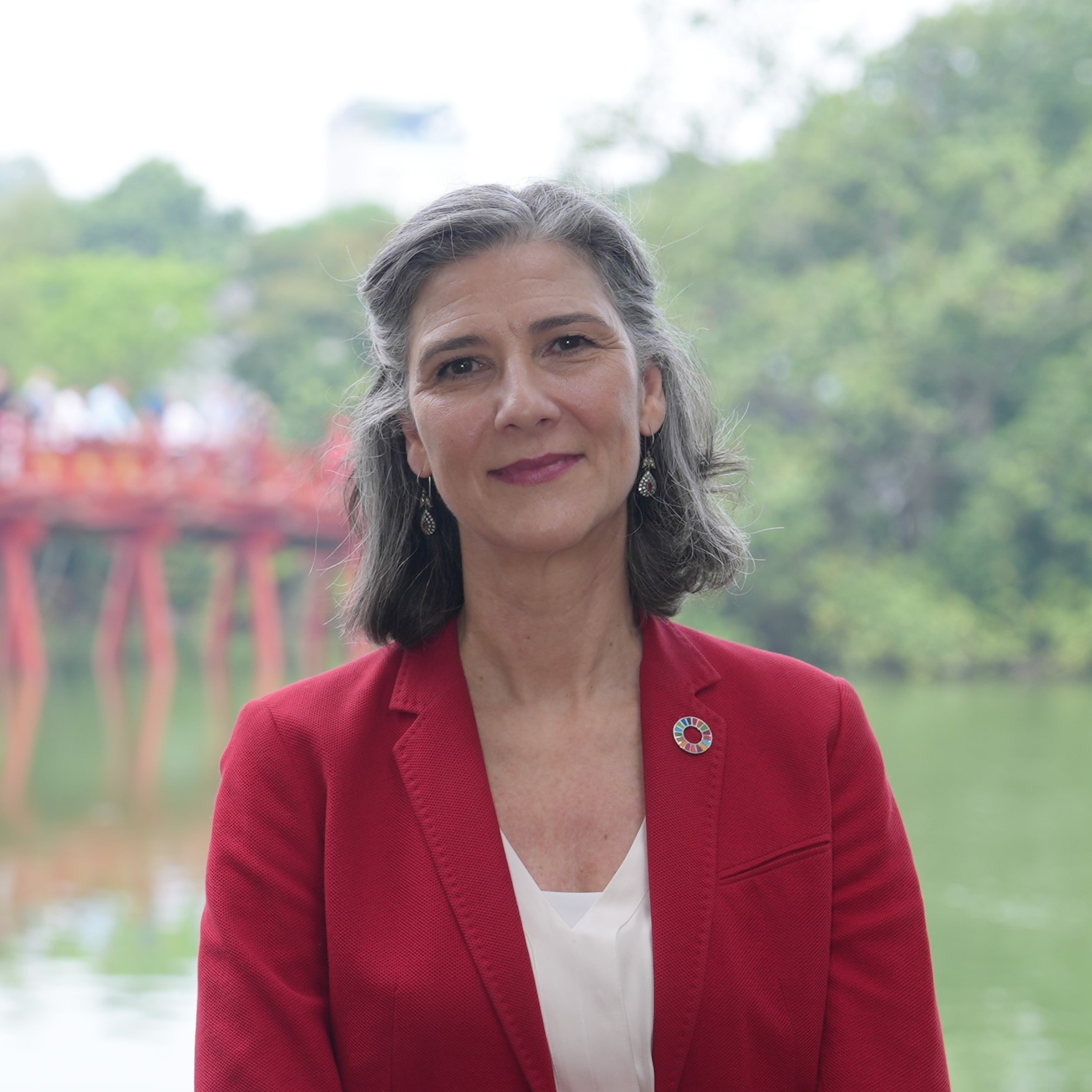 Trưởng Đại diện UNDP: Tầm nhìn dài hạn, vai trò lãnh đạo mạnh mẽ mang lại thành tựu cho Việt Nam - Ảnh 1. Trưởng Đại diện UNDP: Tầm nhìn dài hạn, vai trò lãnh đạo mạnh mẽ mang lại thành tựu cho Việt Nam - Ảnh 1.