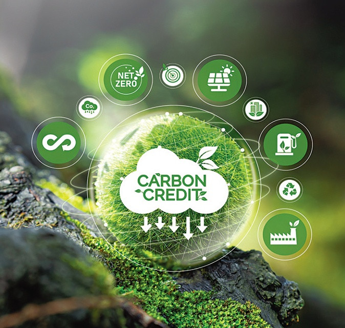 Để trở thành hàng hóa trên thị trường, tín chỉ carbon phải trải qua quy trình đo đạc, thẩm định, xác minh và cấp chứng nhận theo quy định