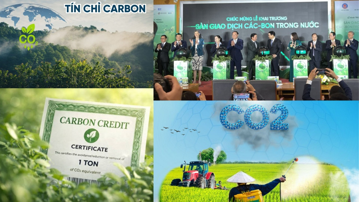 Sàn giao dịch carbon chính thức vận hành, mở ra cơ chế định giá phát thải minh bạch và thúc đẩy dòng vốn đầu tư vào các dự án xanh
