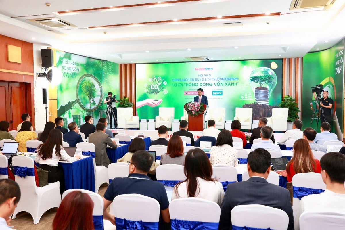 Phát triển thị trường các-bon, giảm áp lực lên tín dụng xanh