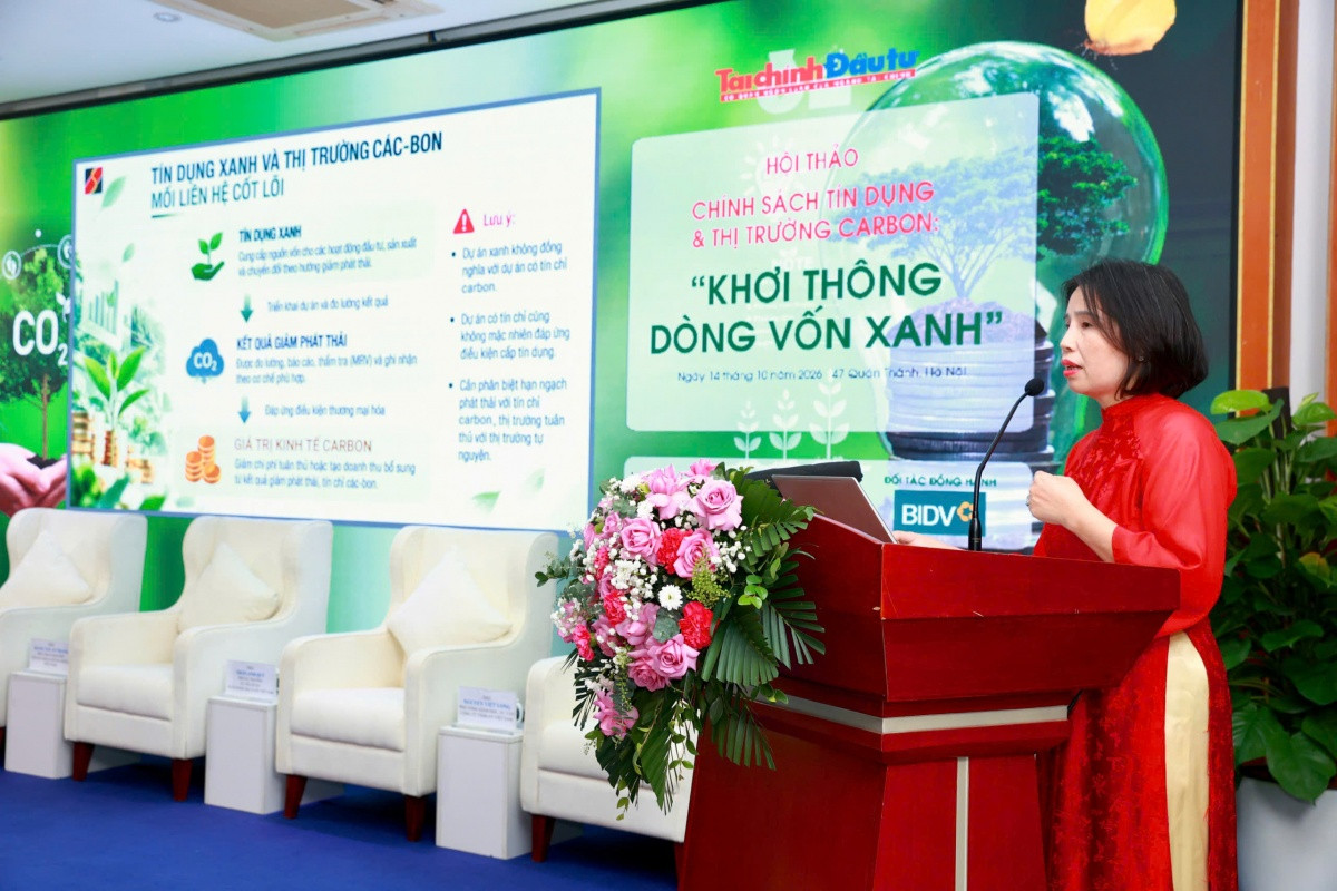 Phát triển thị trường các-bon, giảm áp lực lên tín dụng xanh