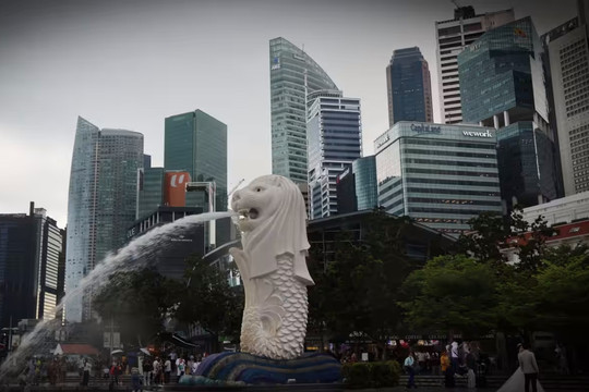 Nền tảng thành công, nhìn từ Singapore