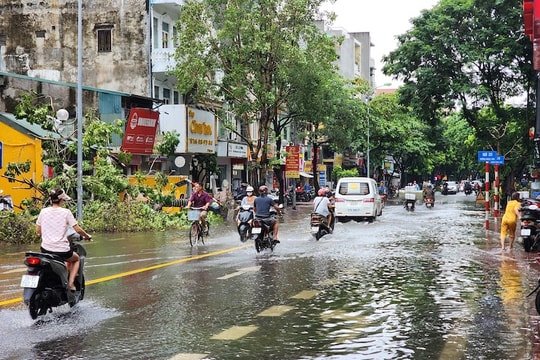 Nhìn nhận lại nền kinh tế Việt Nam sau trận bão Yagi