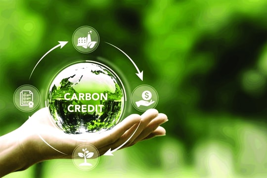Việt Nam sẵn sàng bước vào thị trường carbon toàn cầu?