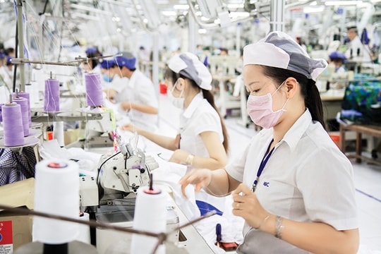 Tham tán thương mại khuyến nghị gì với doanh nghiệp