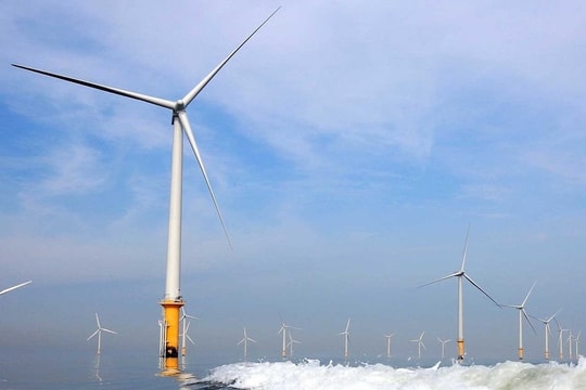 Điện gió ngoài khơi: Cơ chế đột phá và bài toán chọn đúng nhà đầu tư