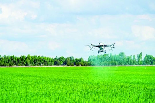 Cất cánh nền kinh tế tầm thấp tại Việt Nam