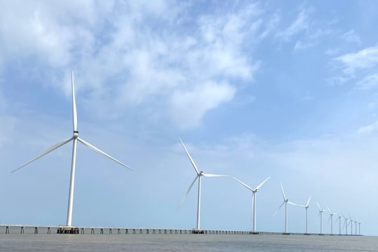 Đừng để ‘chợ’ carbon đìu hiu