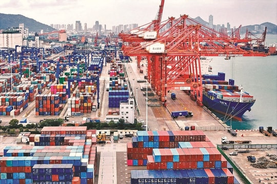 Nâng cao sức chống chịu của nền kinh tế