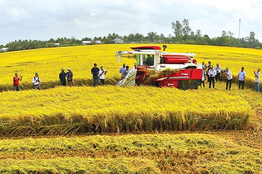 Sự hoán đổi vị trí của hai đầu tàu kinh tế ở Việt Nam
