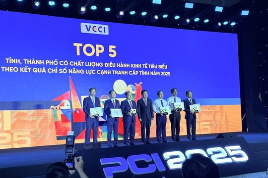TPHCM đứng đầu Chỉ số Hiệu quả Kinh tế tư nhân