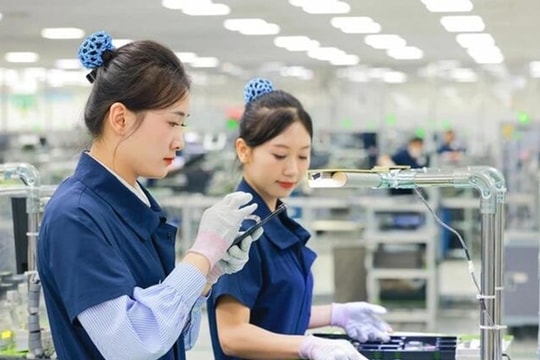 Chiến lược "sàng lọc tinh chất" đầu tư nước ngoài