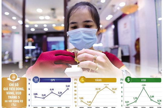 Đầu tư nửa cuối năm 2026: Cơ hội cho tài sản nào trong chu kỳ lãi suất cao?