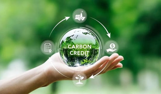 Tín chỉ carbon: "Mỏ vàng" mới vẫn chờ khai mở