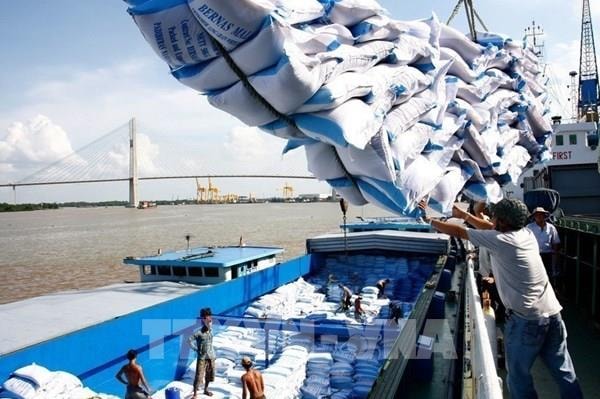 IMF: Việt Nam là điểm sáng trong “bức tranh xám màu"