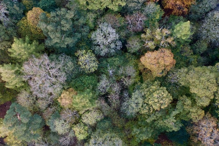 Net Zero 2050 của Việt Nam, lời giải nằm dưới các bể trầm tích