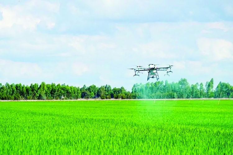 Cất cánh nền kinh tế tầm thấp tại Việt Nam