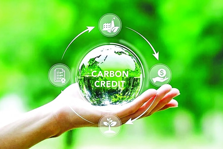 Thị trường carbon: Từ chính sách đến hành động