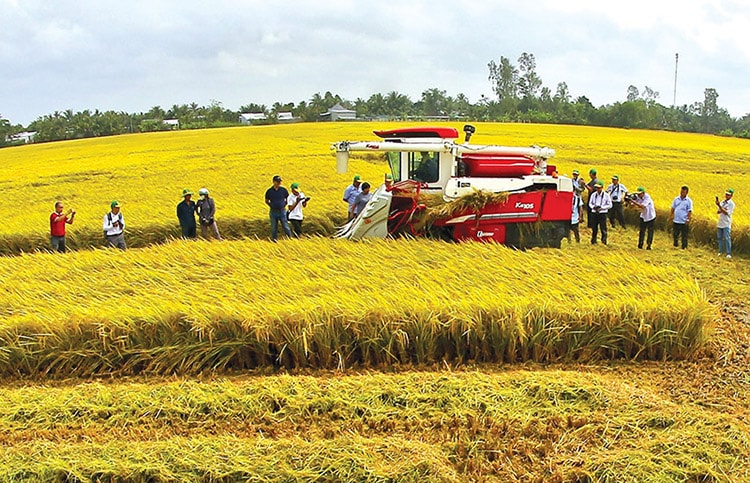 Sự hoán đổi vị trí của hai đầu tàu kinh tế ở Việt Nam
