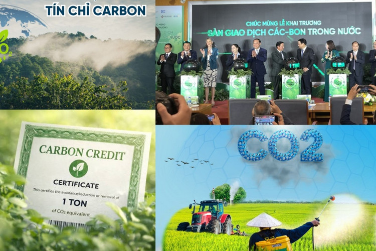Tín chỉ carbon lên sàn: Mở lối dòng vốn xanh