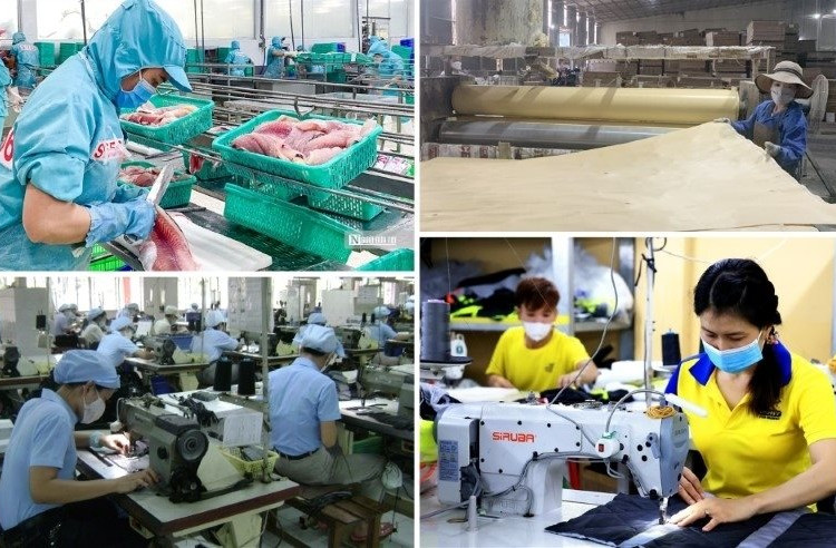 Vượt qua bẫy thu nhập trung bình: Vai trò của thể chế, năng suất và năng lực đổi mới sáng tạo - Kinh nghiệm quốc tế và hàm ý cho Việt Nam